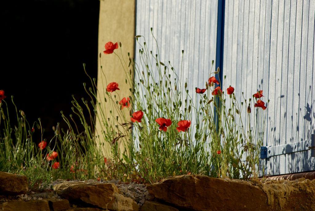 Mas Caipi La Cadiere D'Azur At My Luxury Home In Provence Exterior foto